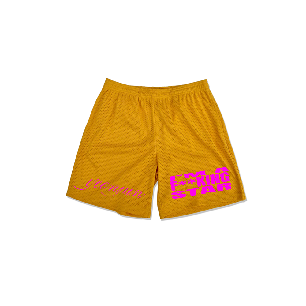 I'm a star mesh shorts